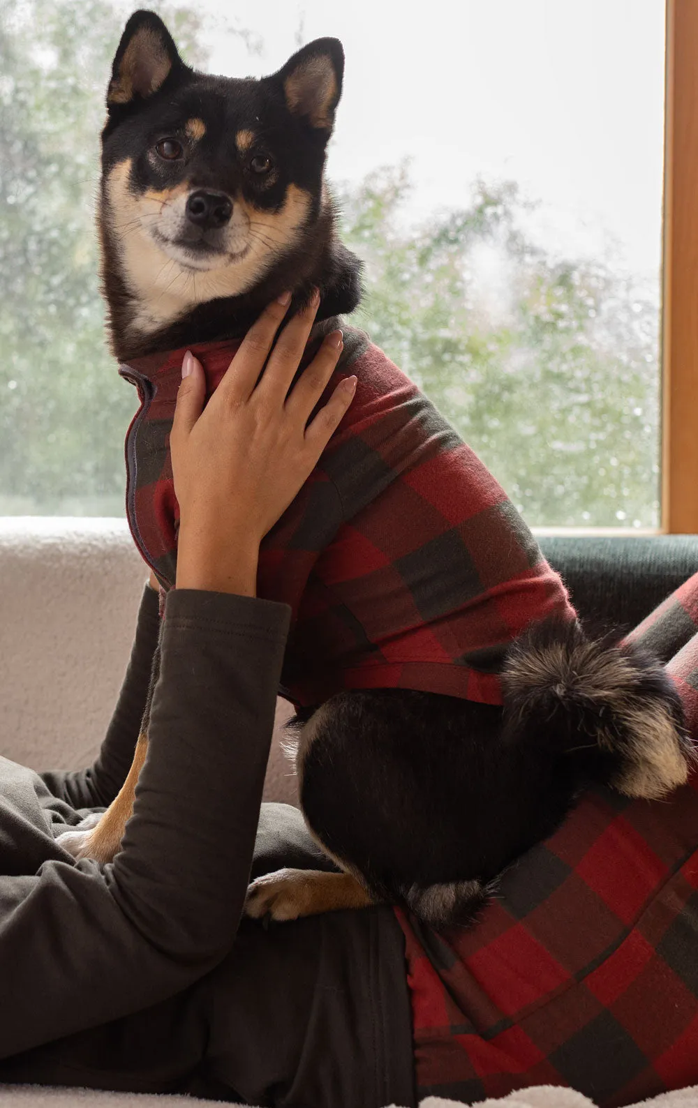 Buffalo Plaid Matching Pet & Owner Pajamas