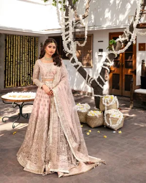 Faiza Saqlain | NIRA – Wedding Festive’23 | NAIZA