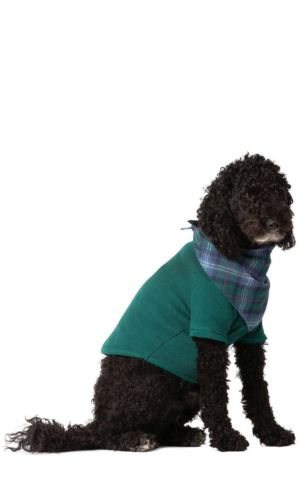 Heritage Plaid Matching Pet & Owner Pajamas