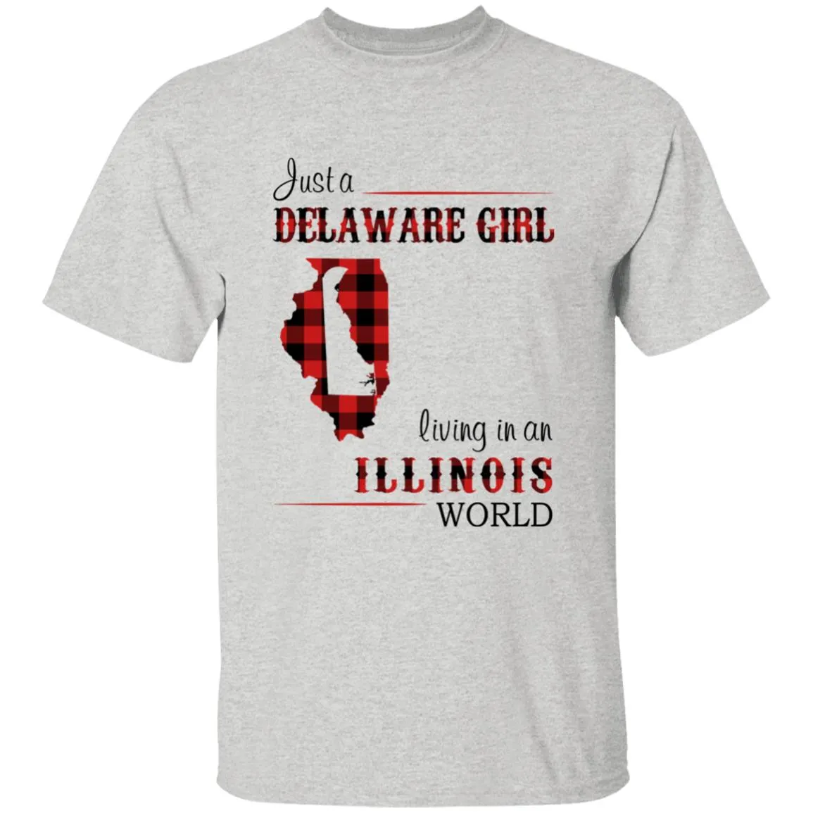 Just A Delaware Girl Living In An Illinois World T-Shirt