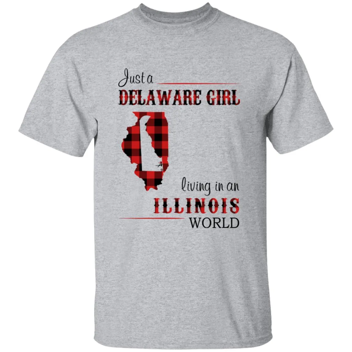 Just A Delaware Girl Living In An Illinois World T-Shirt