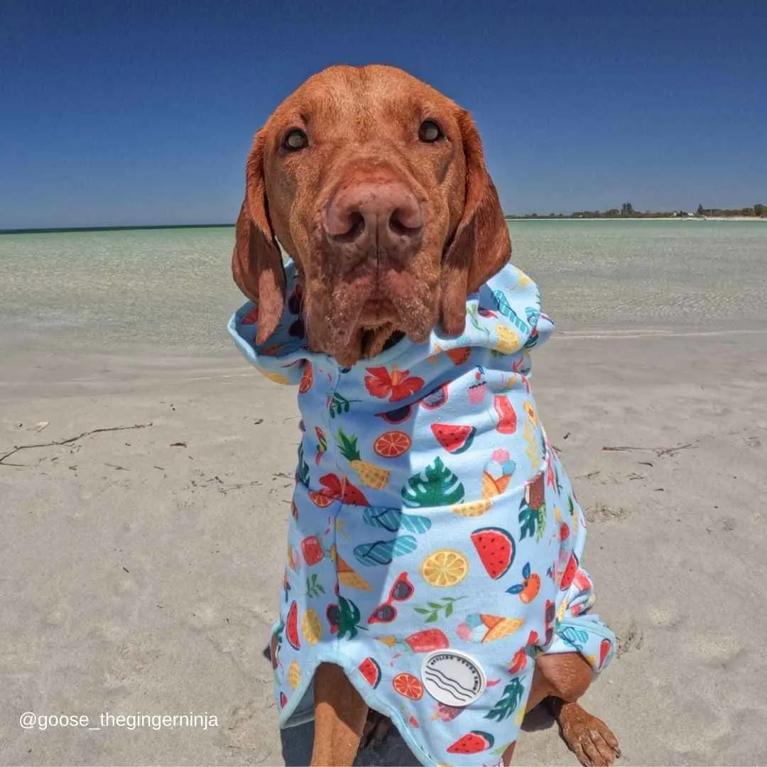 Malibu Dog Robe
