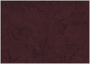 Maroon Paisley Velvet Jacket