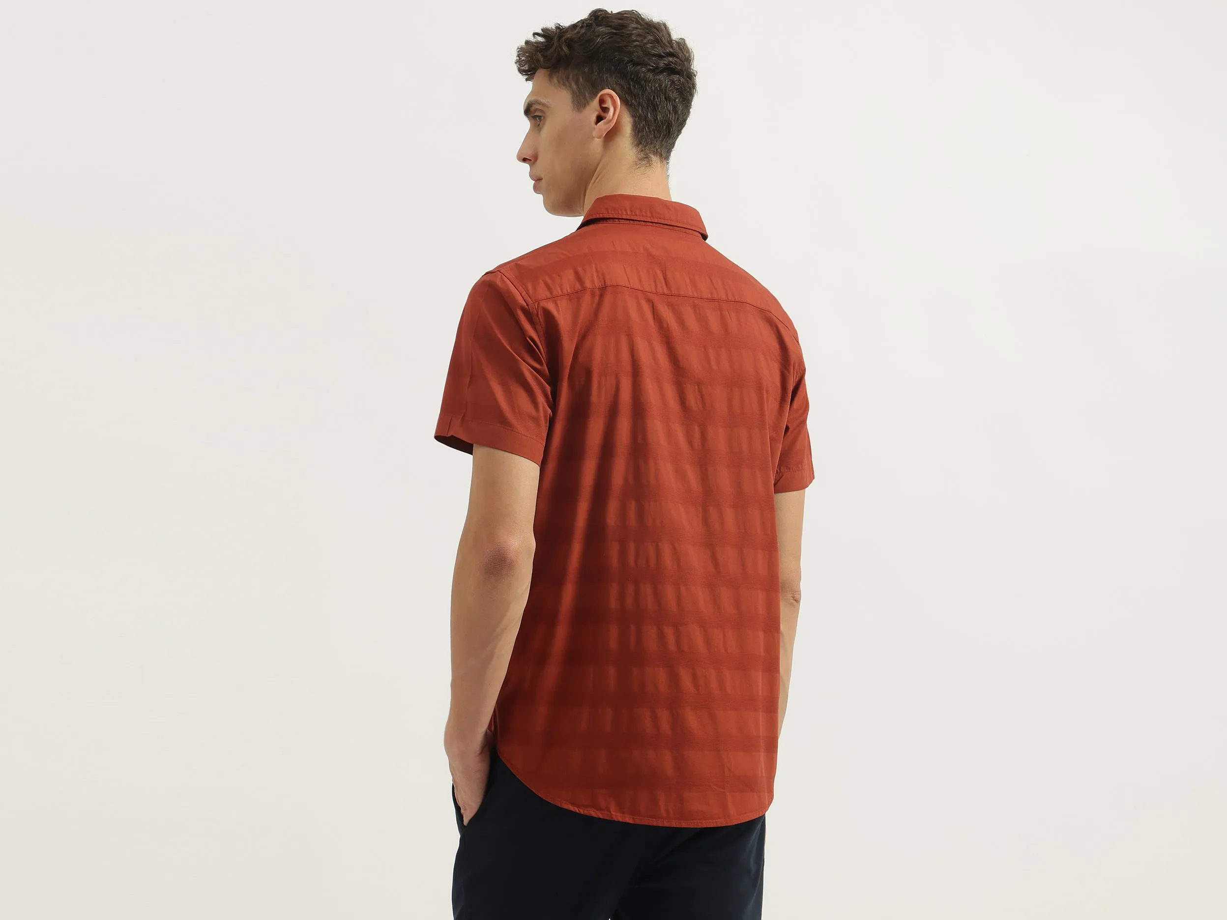 Regular Fit Spread Collar Striped Shirts