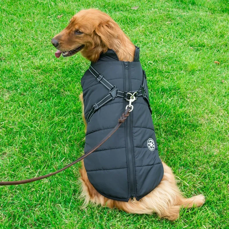 Winter Waterproof Dog Coat with Hood for Small Breeds