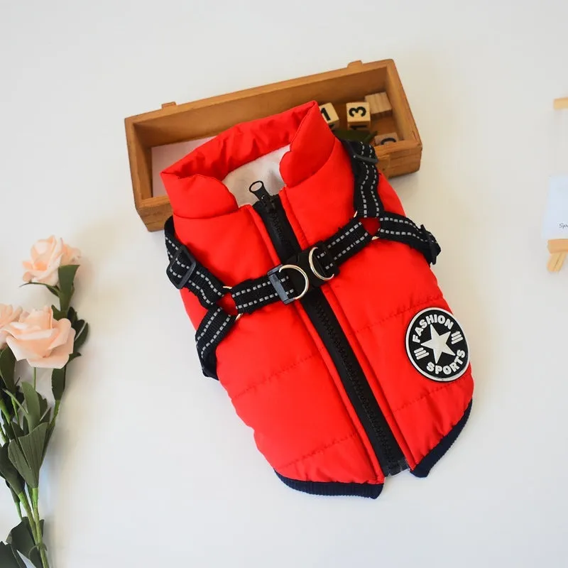 Winter Waterproof Dog Coat with Hood for Small Breeds