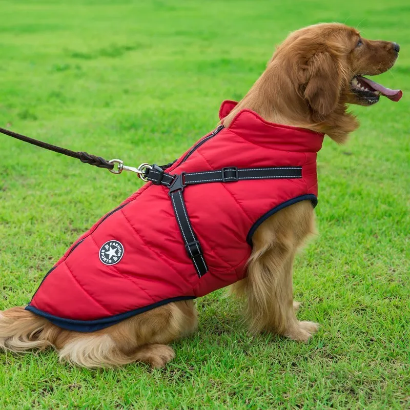 Winter Waterproof Dog Coat with Hood for Small Breeds