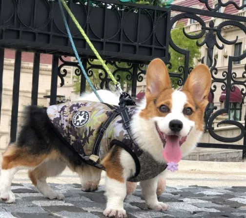 Winter Waterproof Dog Coat with Hood for Small Breeds