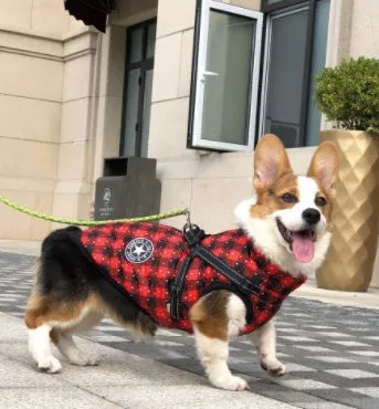 Winter Waterproof Dog Coat with Hood for Small Breeds