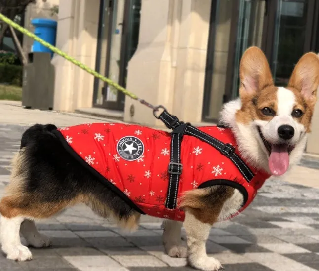 Winter Waterproof Dog Coat with Hood for Small Breeds